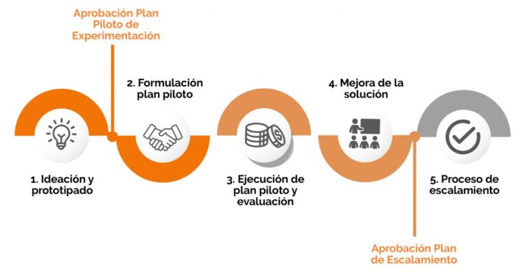 Infografía del Programa de Aceleramiento de Innovaciones Metodológicas (PAIM)